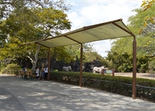 Shade Walk